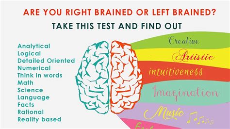 Am I right brain or left brain?