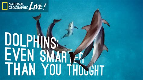 Am I smarter than a dolphin?
