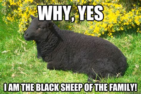 Am I the black sheep of my family?