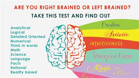 Are ADHD right or left brained?