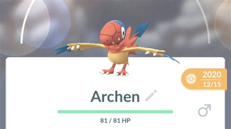 Are Archen rare?