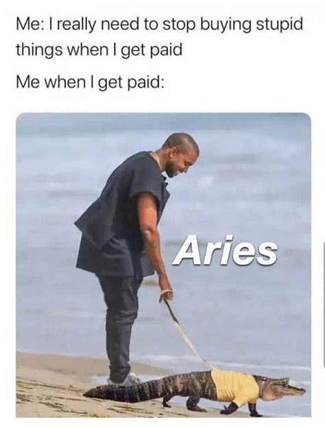 Are Aries silly?