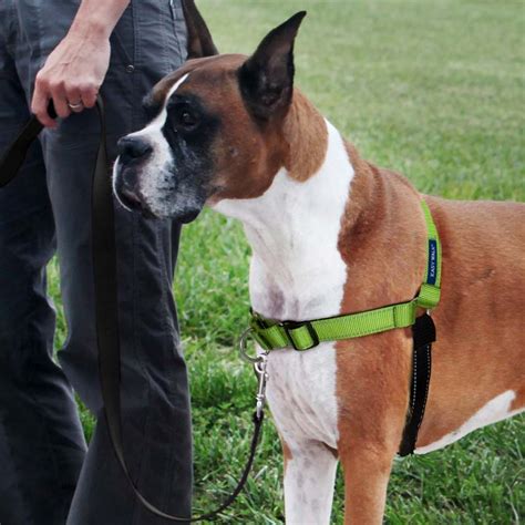 Are Easy Walk harnesses good for dogs?