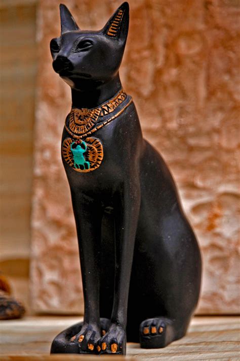 Are Egyptian cats expensive?