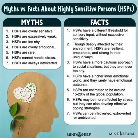 Are HSP highly intelligent?