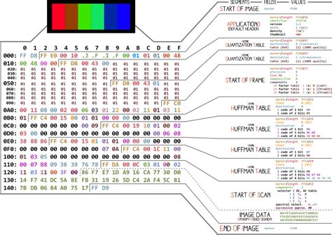 Are JPG files binary?