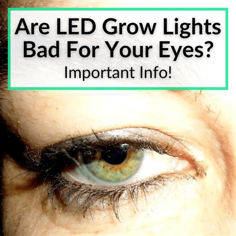 Are LED lights bad for your eyes?