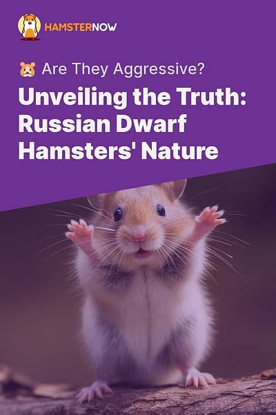Are Russian hamsters aggressive?