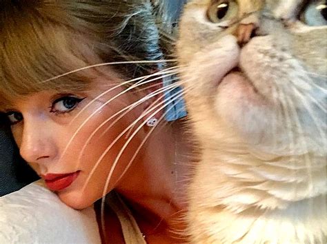 Are Taylor Swift's cats adopted?