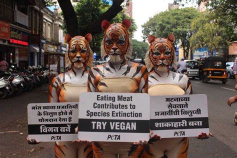 Are Tigers vegan?