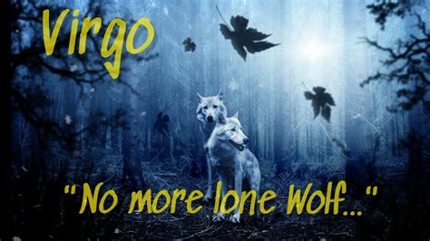 Are Virgos lone wolves?