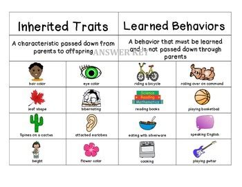 Are accents genetic or learned?