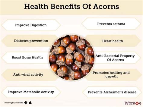 Are acorns healthy for humans?