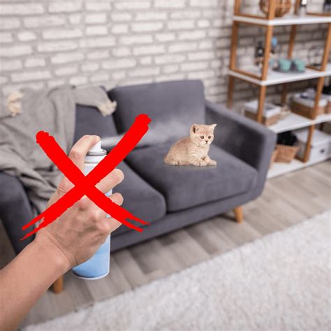 Are air fresheners bad for cats?