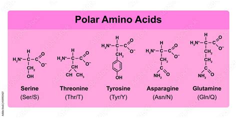 Are all 20 amino acids polar?