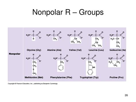 Are all R groups nonpolar?