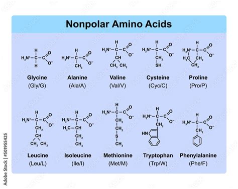 Are all amino acids non polar?