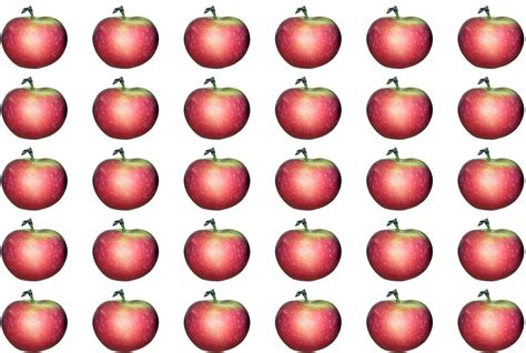 Are all apples cloned?