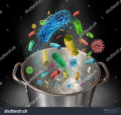 Are all bacteria killed by boiling?