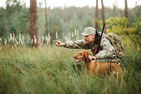 Are all dogs natural hunters?