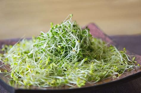 Are all sprouts edible?