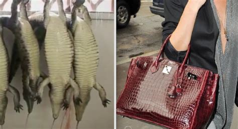 Are animals killed to make Hermès bags?