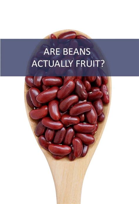 Are any beans a fruit?