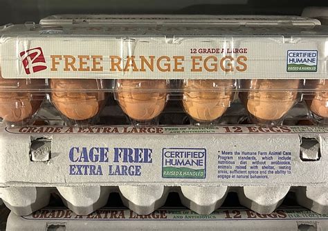 Are any eggs humane?