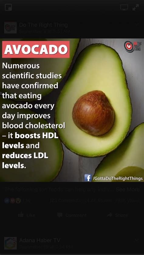 Are avocados high cholesterol?