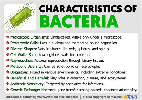 Are bacteria genderless?