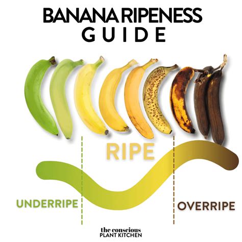 Are bananas good for Candida?