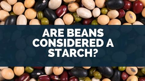 Are beans a starch?