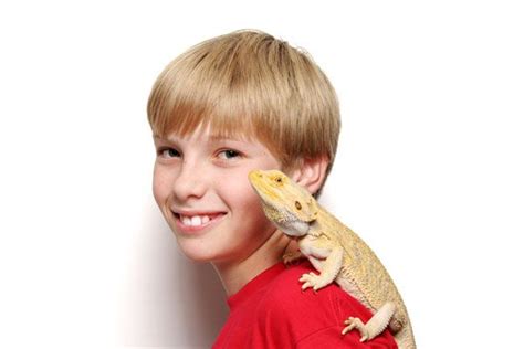 Are bearded dragons safe for kids?