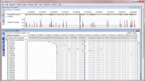 Are bed files binary?