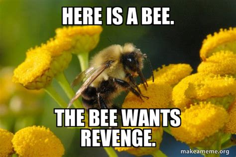 Are bees revengeful?