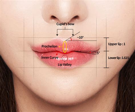 Are big lips attractive in Korea?