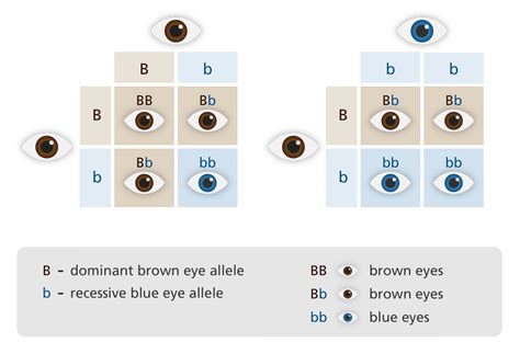 Are birthmarks dominant or recessive?