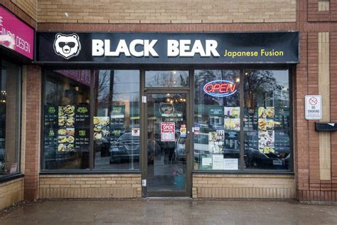 Are black bears in Toronto?