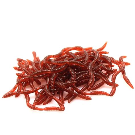 Are bloodworms harmful?