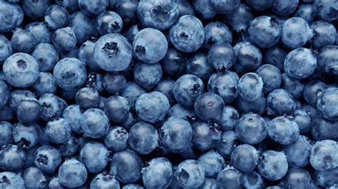 Are blueberries asexual?