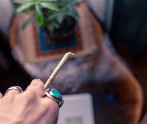 Are blunts more unhealthy than joints?