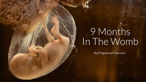 Are boys bigger in the womb?