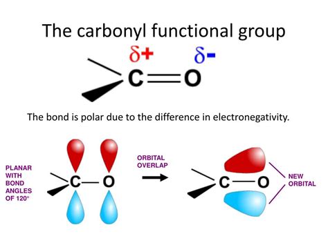 Are carbonyl groups polar?