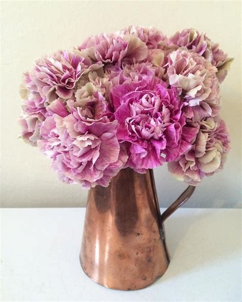 Are carnations underrated?