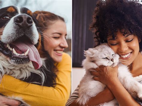 Are cat or dog owners happier?