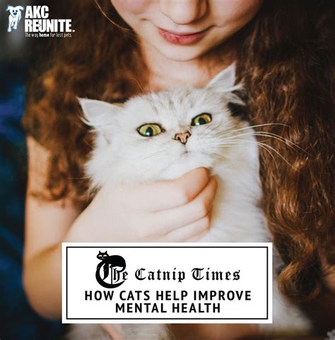 Are cats good for mental health?