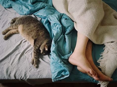 Are cats happier if they sleep with you?