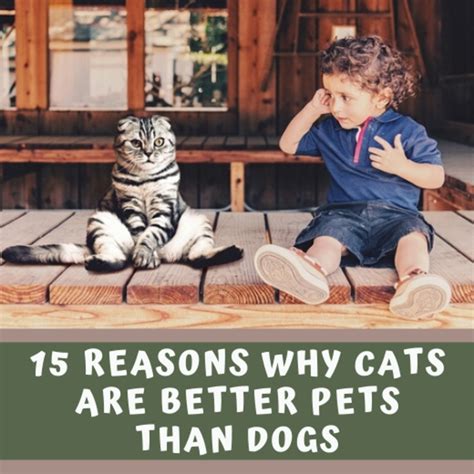 Are cats smarter than dogs?