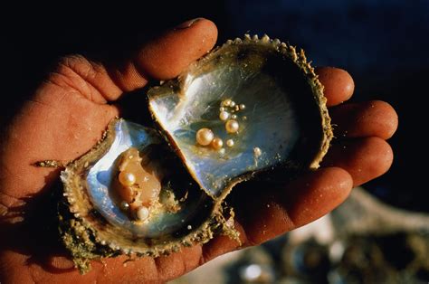 Are cave pearls real pearls?