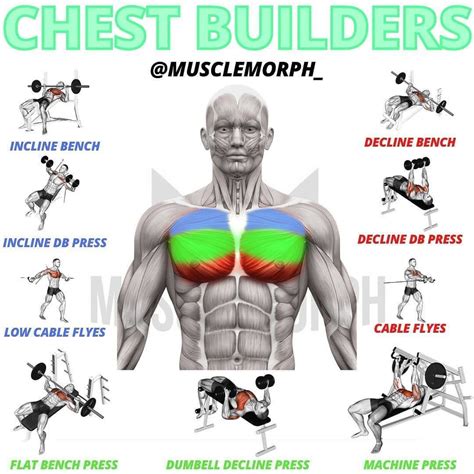 Are chest muscles hard to develop?